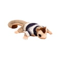 thumbnail image 2 of Sugar Glider Plush Toy Possum Stuffed Animal with Striped Sweater,Realistic Wildlife Soft Doll Cuddly Companion for Home Office Decoration, 2 of 6