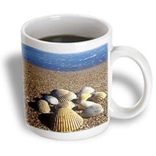 3dRose Seashells, Jacksonville, St. Johns River, Florida - US10 GJO0234 - Greg Johnston, Ceramic Mug, 15-ounce