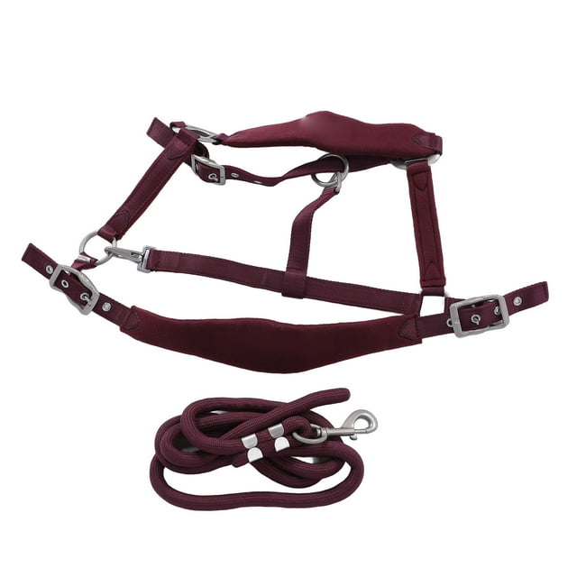Cabestro De Caballo De Nailon Weaver Leather, Cabestro De Caballo Acolchado Y Ajustable Para Barbilla Y Garganta Con Juego De Plomo De Hardware Antiguo, Cabestro De Caballo Para