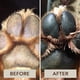 thumbnail image 4 of Bálsamo para patas de perro, crema hidratante para patas de mascotas, pata Natural para perros y gatos para patas secas, 4 of 10