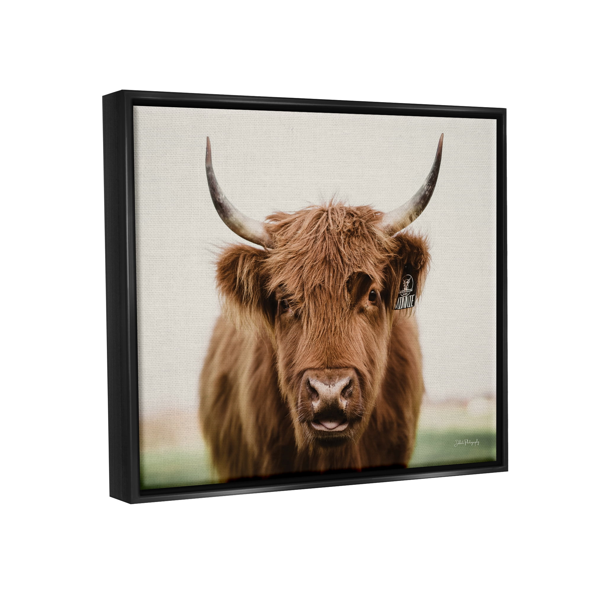 Stupell Industries Farmhouse Cattle Photography Animals & Insects Photography Black Floater Framed Art Print Wall Art, 21 x 17