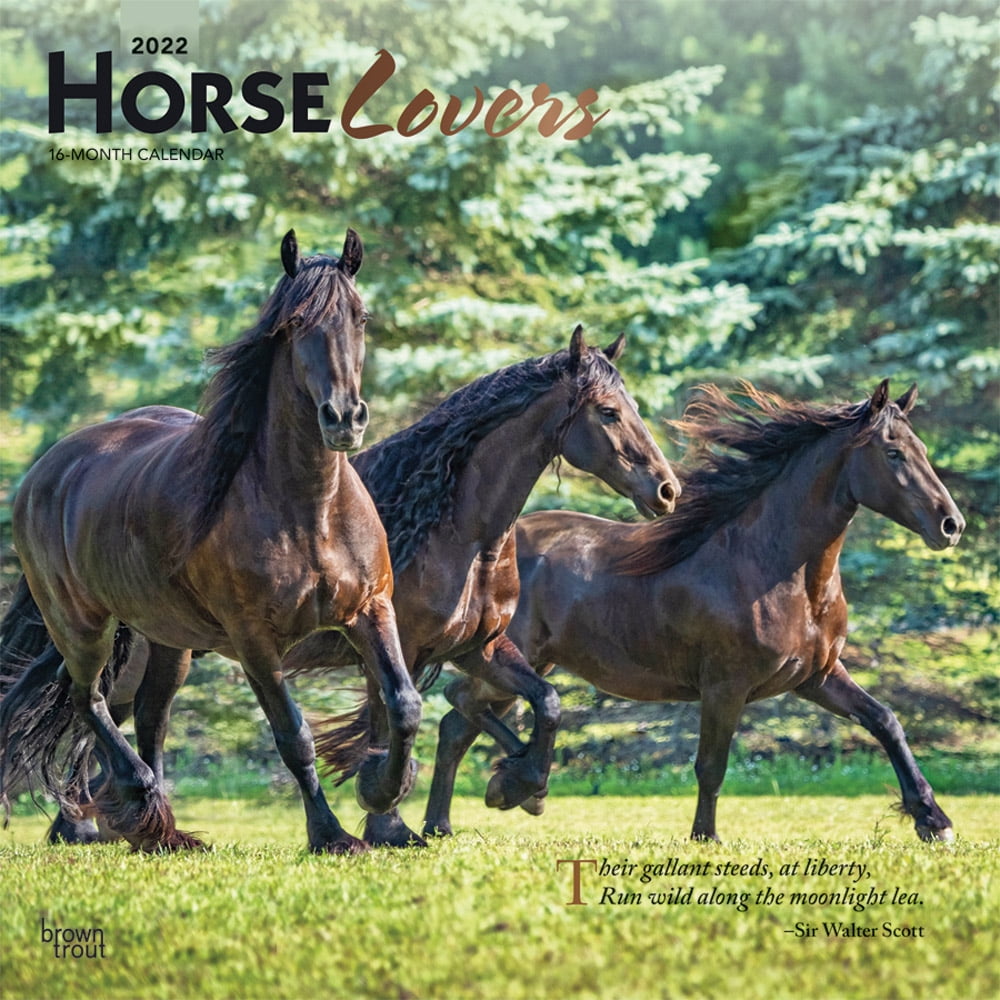 12”x12 HORSES 12-MONTH 2021 Equestrian Wall Calendar New FREE Shipping 