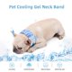 thumbnail image 4 of Peine de aseo para perros, 2 uds., babero refrescante para mascotas, toalla para perros, bufanda de hielo, Collar para perros frío para verano, bufanda para perros de tela cómoda y fresca S, 4 of 5