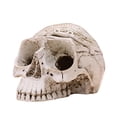 thumbnail image 1 of Esqueleto, Caja De Cenizas Portátil, Escultura, Estatua, Contenedor, Decoración, Hogar, Oficina, Cenicero En Forma De Hueso, Accesorios De Halloween Cateissary HA045401-02, 1 of 6