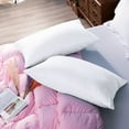 thumbnail image 5 of Flxxie Queen Pillowcases 2 Pack 100% Egyptian Cotton 20x30 White Envelope Soft, 5 of 7