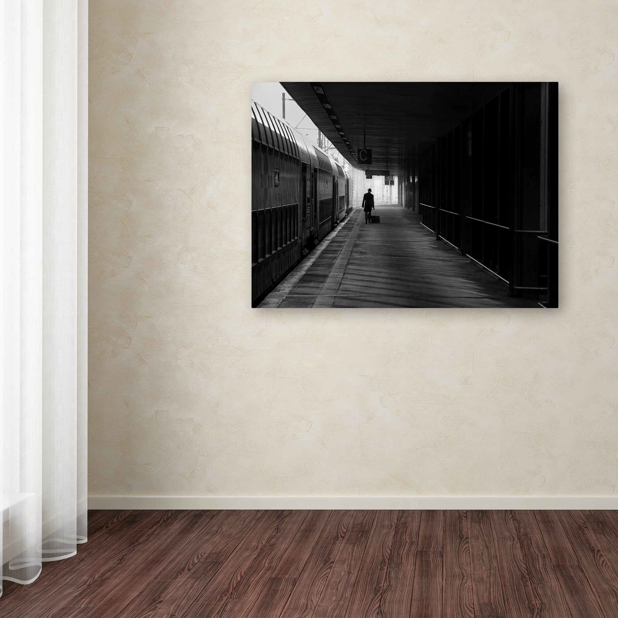 Trademark Fine Art 'Passenger' Canvas Art by Christoph Hessel