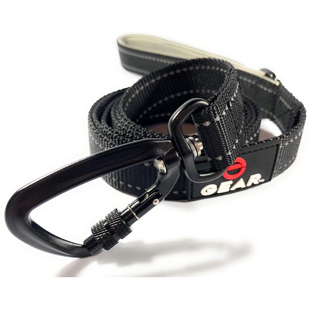 Enthusiast Gear Nylon Dog Leash with Locking Carabiner for Large and
