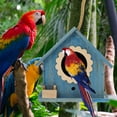 thumbnail image 3 of Qumonin Outdoor Cedar Bird House for Hanging Garden Decor with Water Drinker - Blue, 3 of 5