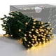 thumbnail image 1 of Miniluces decorativas navideñas HOME LIGHTING 200 LED 66 pies blanco cálido, 1 of 7