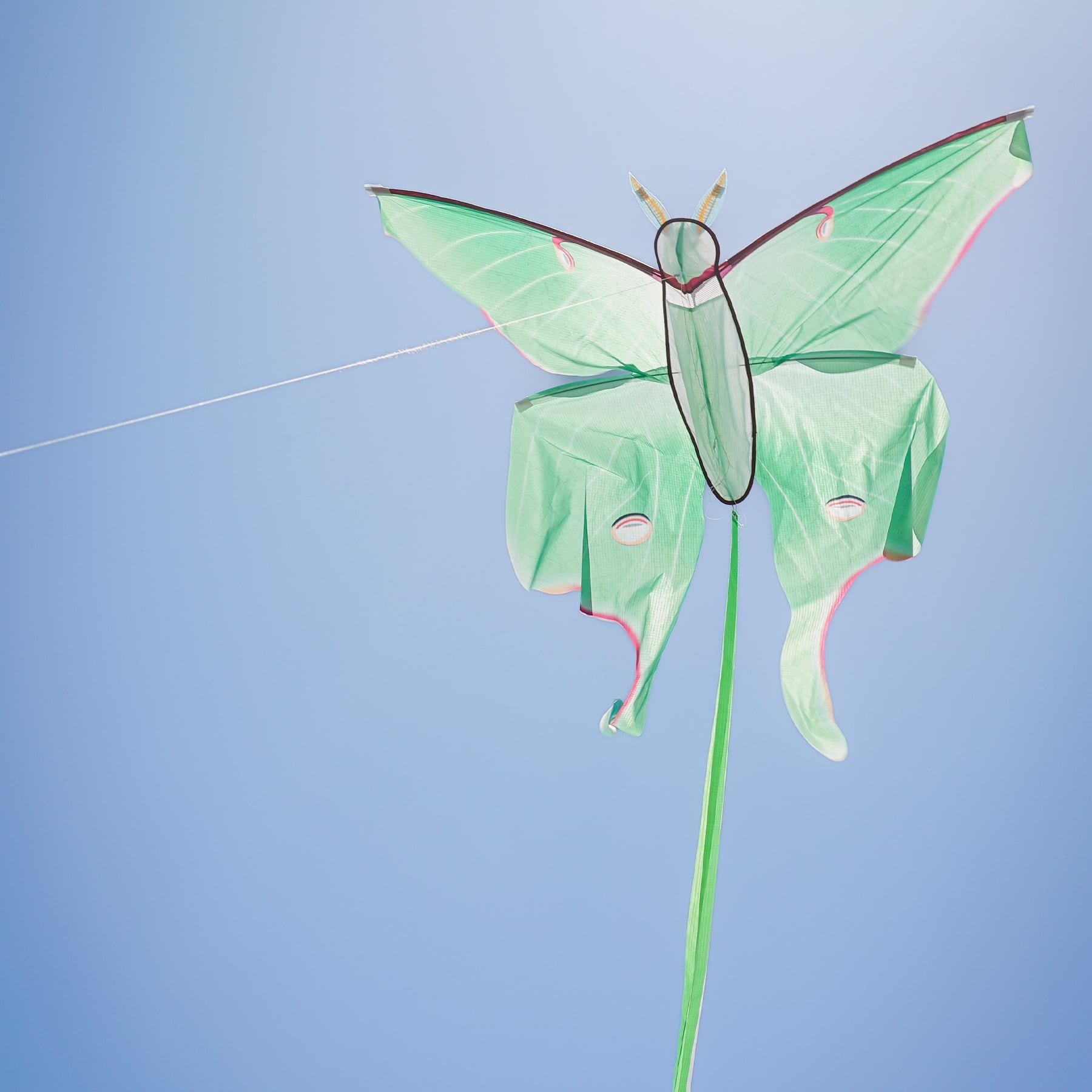 In the Breeze 3398 — Luna Moth Kite — Colorful Easy-Flying Kite with Color-Coordinated Tails, Kite Line Included