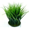 thumbnail image 2 of Vintage Home Grass in Round Ceramic Pot, 2 of 4