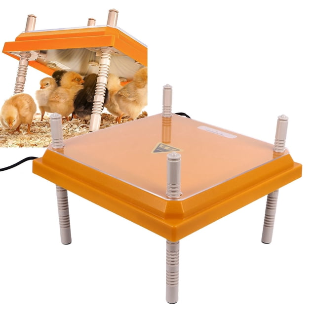 Calentador de Criadora para Pollitos Placa Calefactora de Criadora Controlada Termostáticamente de 10" X 10" Calentador de Pollitos para 15 Pollitos ANGGREK Otros