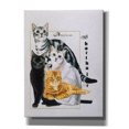 thumbnail image 1 of Epic Graffiti 'American Shorthair' by Barbara Keith, Canvas Wall Art, 12"x16", 1 of 8