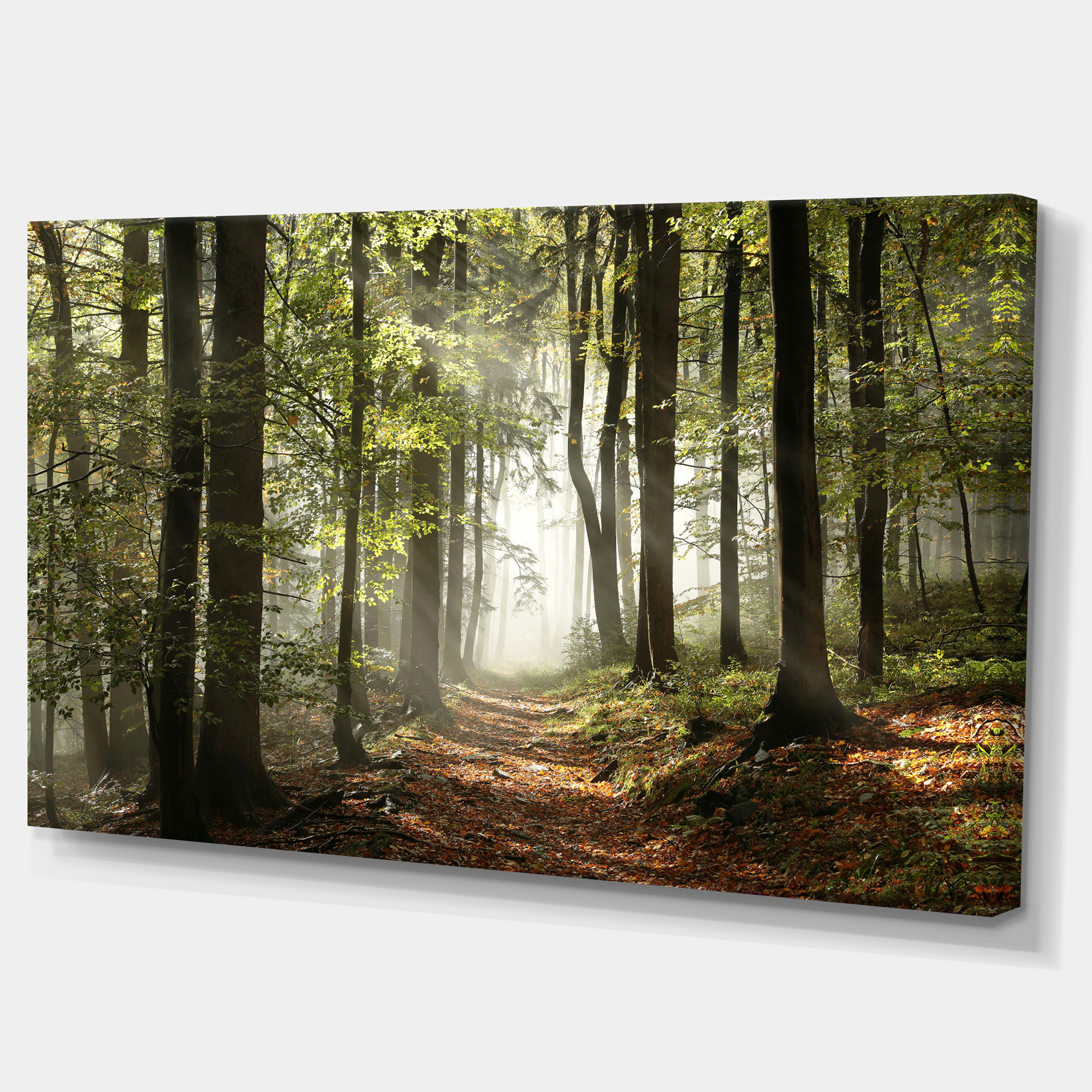 Designart 'Green Fall Forest with Sun Rays ' Landscape Photography Canvas Print