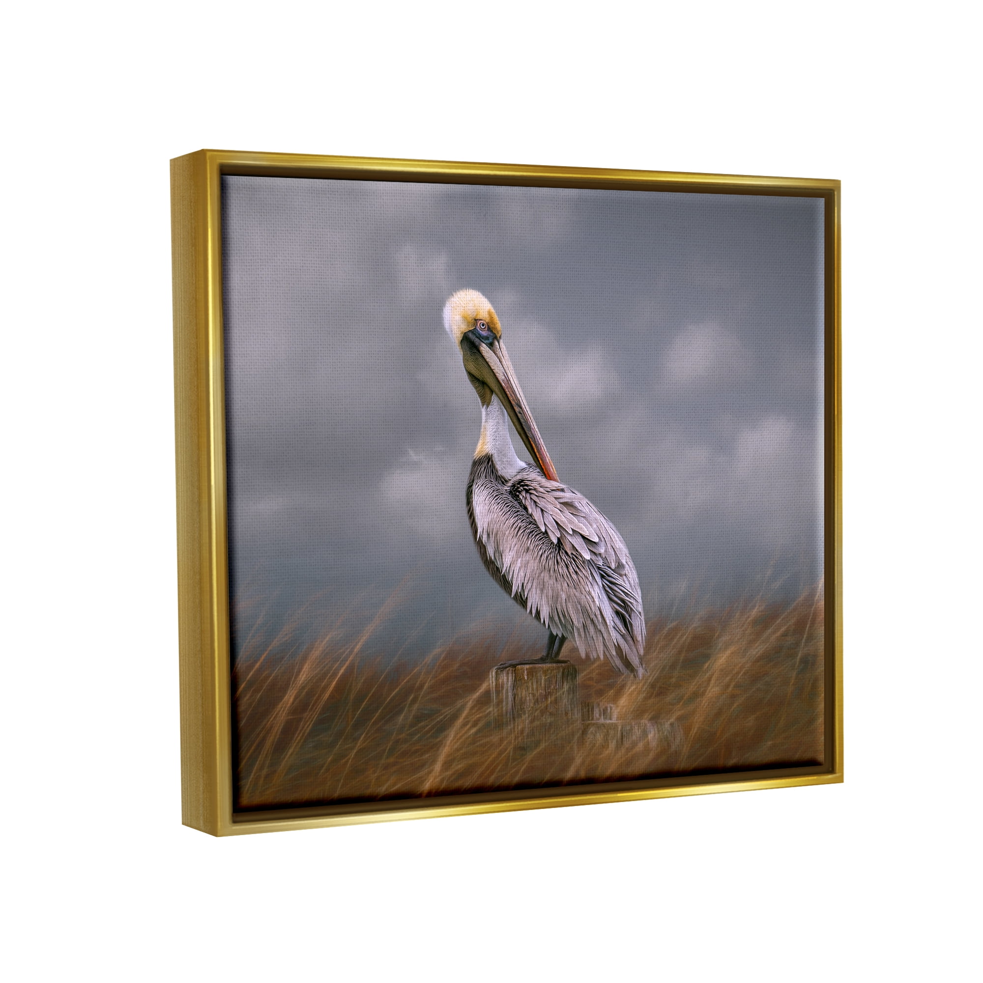 Stupell Wildlife Pelican Bird Cloudy Sky Animals & Insects Photography Gold Floater Framed Art Print Wall Art