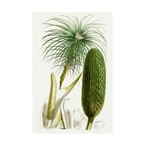 Trademark Fine Art 'Curtis Palms IV' Canvas Art by Curtis