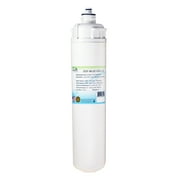Swift Green Filters SGF-96-11 VOC-B Replacement Water Filter for Everpure EV9691-56,1 Pack