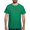 Kelly Green, variant on CafePress - Ciao Bella Men's Value T Shirt - Men's Classic Cotton T-Shirts
