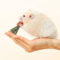 thumbnail image 3 of Varilla para la dentición de hámster de zanahoria, 3 piezas de juguete para masticar para mascotas pequeñas, juguete para masticar para hámster de zanahoria, muy versátil, 3 of 5