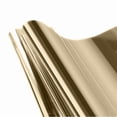 thumbnail image 2 of Birdeem Window Privacy Film, Window Insulation Film, Mirror Film Self-Adhesive Window Sun Protection Film Protection Heat Insulation Window Film Side Privacy Screen Roof Window, Screens for Windows, 2 of 2