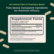 Genius Caffeine - Sustained-Release Microencapsulated Caffeine Pills for Smooth, Long-Lasting Energy & Focus - No Jitters or Crash - 100mg per Capsule - 100 Servings - Natural Performance Booster