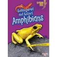 thumbnail image 3 of Endangered and Extinct Amphibians (Lightning Bolt Books Animals in Danger), 3 of 4