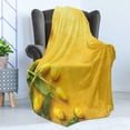 thumbnail image 4 of Yellow Soft Flannel Fleece Throw Blanket, Danish Dutch Tulips on Colored Wall Garden Floral Love Lily Herbs Print, Cozy Plush for Indoor and Outdoor Use, 70" x 90", Yellow Green, by Ambesonne, 4 of 5