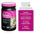 thumbnail image 5 of CrystalClear Thrive, Aquatic Plant Fertilizer, 60 Tablets, 5 of 8