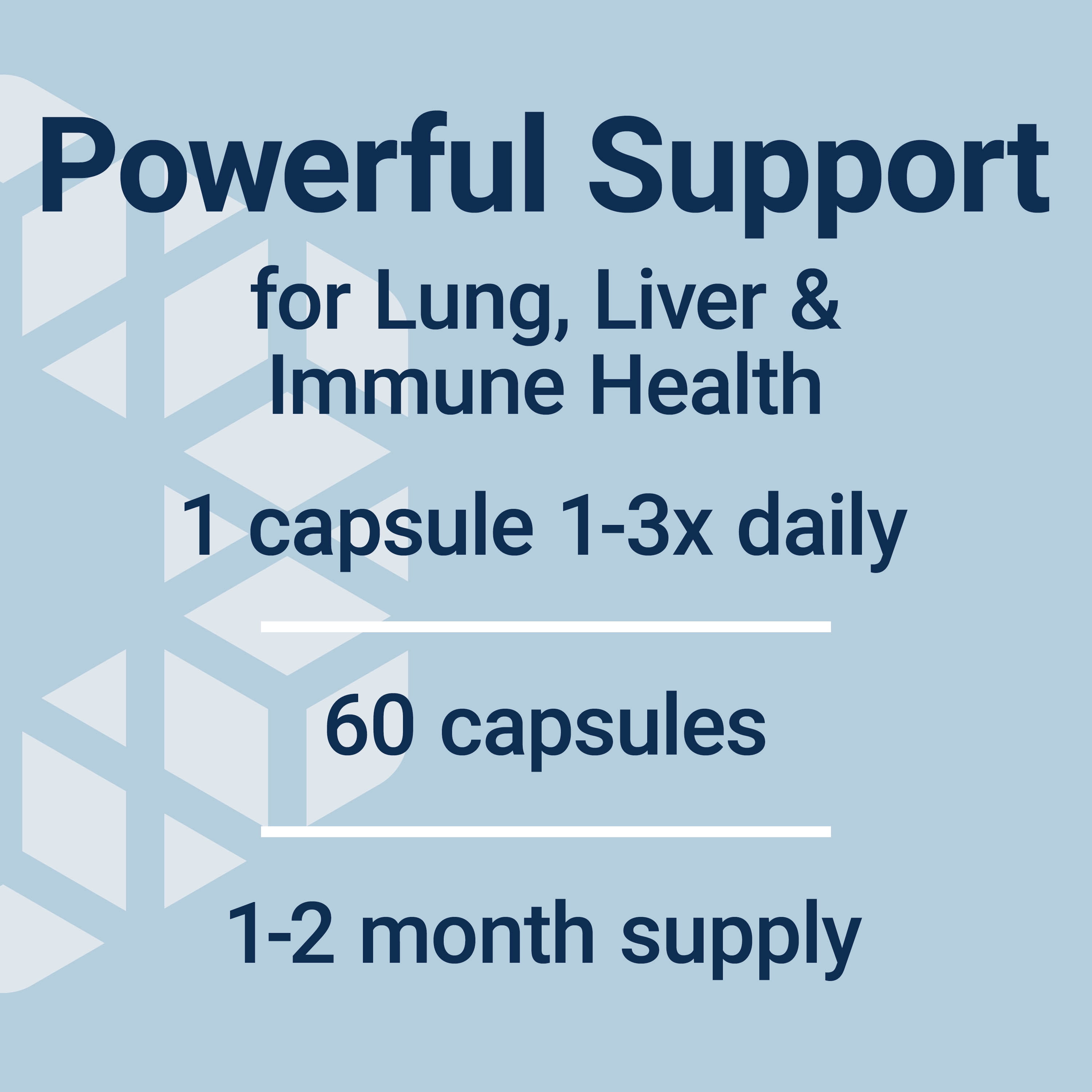 (4 pack) Life Extension NAC N-Acetyl-L-Cysteine, Immune Support, Respiratory Health, Liver Function, 600 mg, 60 Capsules