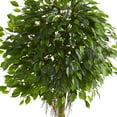 thumbnail image 2 of Nearly Natural 6 ft. Ficus Artificial Tree in Slate Planter UV Resistant (Indoor/Outdoor), 2 of 3