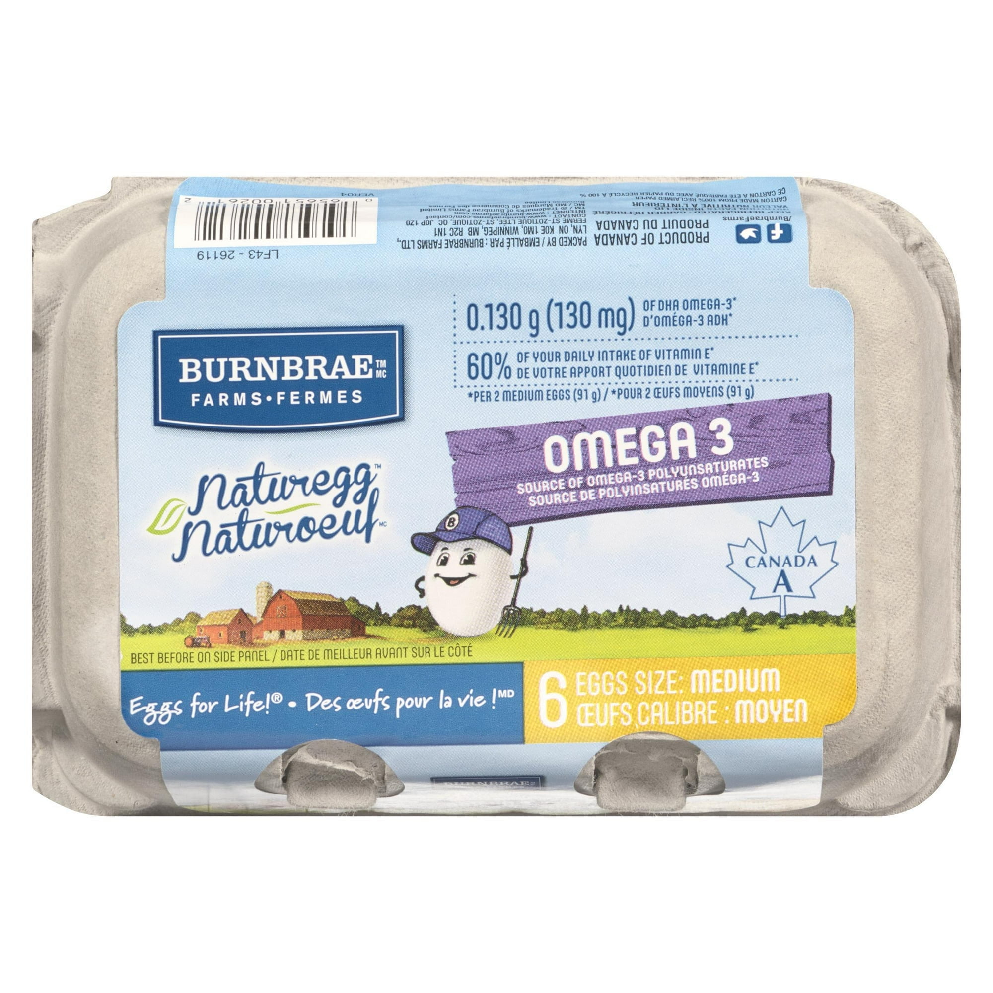 Naturegg 6 Pack Medium Omega 3 White Eggs, 6 eggs / carton