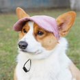 thumbnail image 3 of cyan Dog Sun Hat for Outdoor Travel Camping, 3 of 5