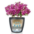 thumbnail image 5 of Lechuza Classico Self-Watering Polypropylene Indoor/Outdoor Planter, 5 of 8