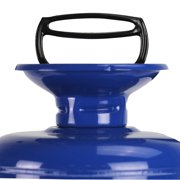 Chapin 1180: 1-gallon Premier Pro Tri-Poxy Steel Tank Sprayer for Lawn, Home & Garden