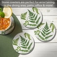 thumbnail image 3 of Thirstystone Ferns 4-Pack Round Absorbent Stone Coasters, 3 of 7