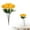 U1_Yellow, variant on SMKE Artificial Dandelion Flower Stem,Realistic Dark Pink Bloom for Home Decor,Bendable Wire Stem,1pc,Faux Dandelion Spray,Lifelike Pom Pom Flower,for DIY Wedding Bouquets and Vase Arrangements