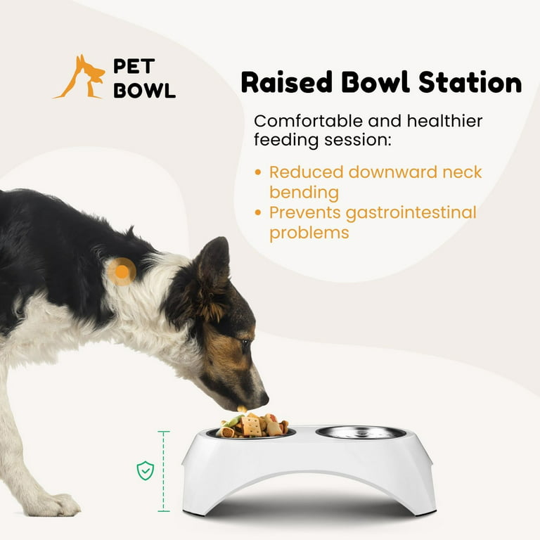 Flexzion Elevated Dog Bowl - Raised Dog Bowls for Medium Dogs Removable  Stainless Steel Dog Food and Water Bowl - Non-Skid Dog Food Bowls for  Medium
