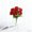 Red, variant on Sktrjpolfis Artificial Bouquet 6 Rose Flower 5.9x3.9x11.8in Long Stems Roses for Party Wedding Home Office Hall Decorations