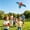 Blue, variant on Dynamic Wing Kite with Rod and Line – Colorful Flying Toy for Kids and Adults – Outdoor Beach Kite for Family Activities – One Size