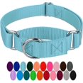 thumbnail image 1 of HSHDLDF Ocean Blue Martingale Heavy Duty Nylon Dog Collar 21 Vibrant Color Options (1 Inch Width, Large), 1 of 7