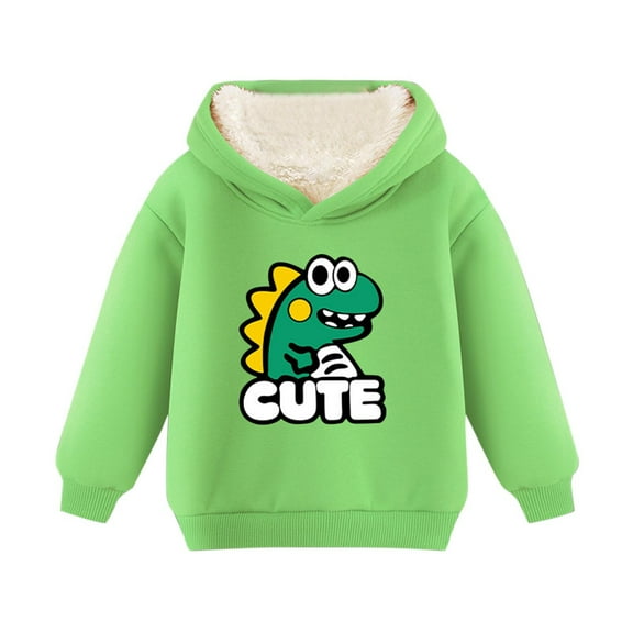 Boys Fleece Lined Sweatshirt Winter Warm Long Sleeve Hoodies Pullover Dinosaur Sweatshirts Gifts for Kids Toddler, Green, 5 Years