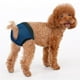 thumbnail image 3 of Paquete de 3 pantalones sanitarios fisiológicos para perros hembra, pantalones para mascotas reutilizables lavables para el cuidado menstrual, pantalones antiacoso para perros pequeños, medianos y grandes MFZFUKR 222803-2, 3 of 8