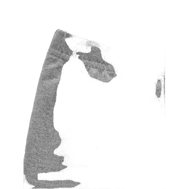 Plain Regular Light Grey Toddler Girls Leggings (Girl's)