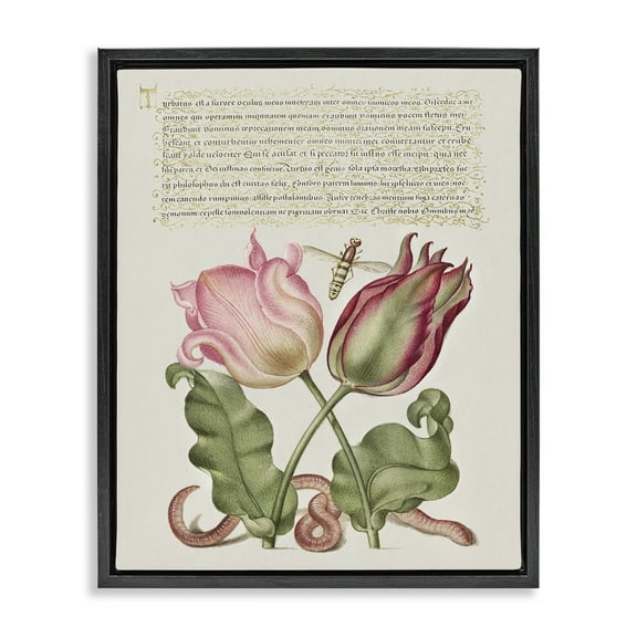 Stupell Industries Tulips & Insects Antique Text & Numbers Painting Black Floater Framed Canvas Art Print Wall Art, 17 x 21
