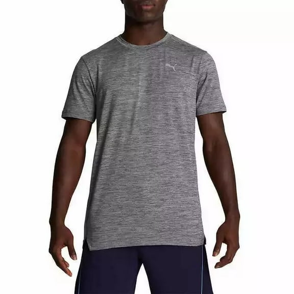 PUMA Men's Crew Neck Athletic Fit Active Tee T-Shirt, Gray XL