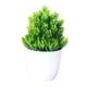 thumbnail image 4 of Conjunto De 2 Plantas De Realistas De Simulación Jardín Realistas Para Oficina Gloria Plantas de bonsai en maceta, 4 of 9
