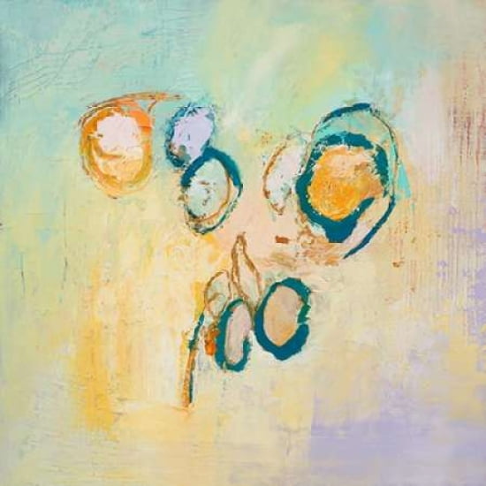 Sky Circles Canvas