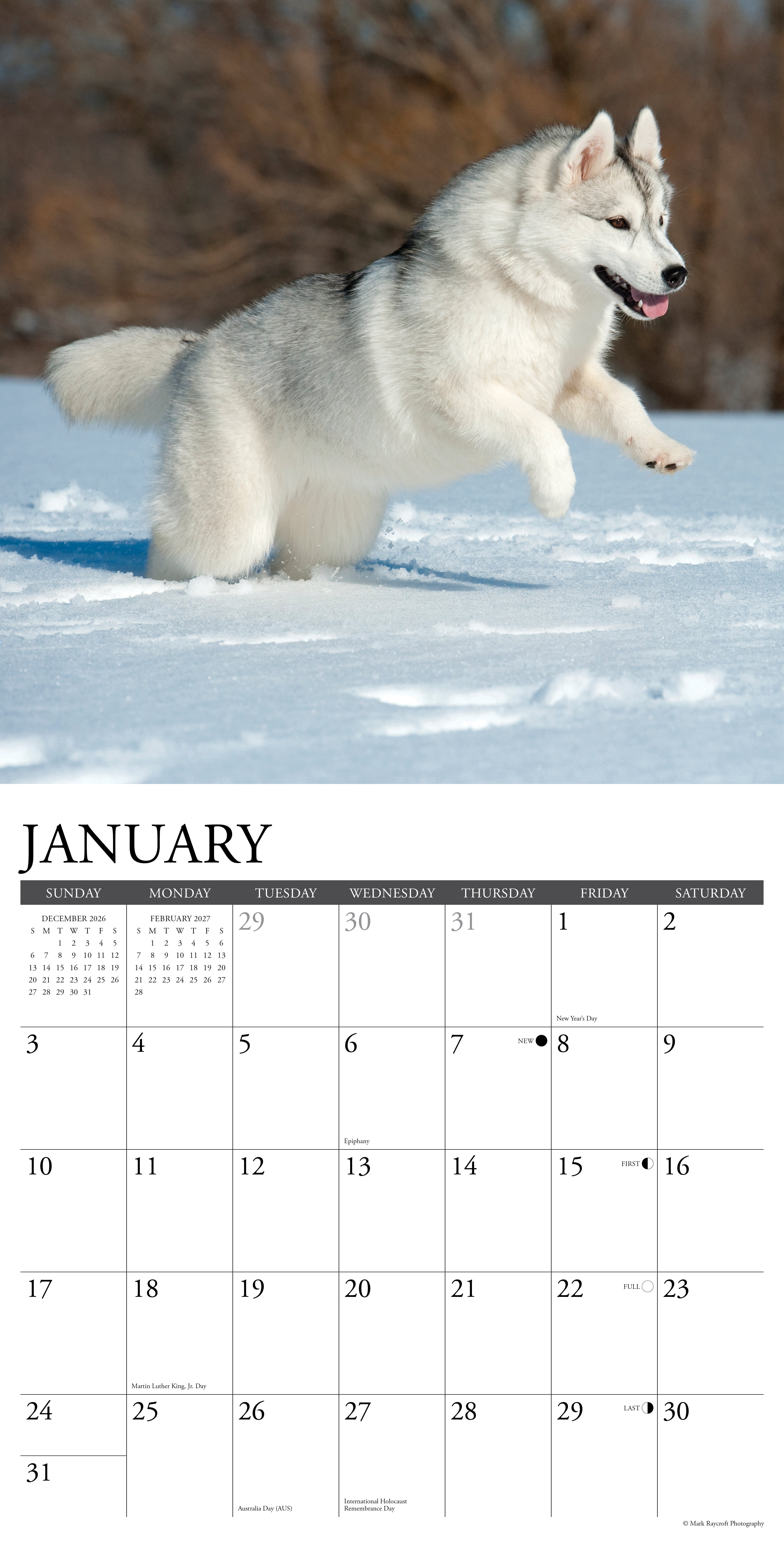 Willow Creek Press, Siberian Huskies 2027 Wall Calendar