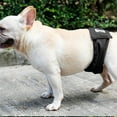 thumbnail image 6 of WE-POLUJ Washable Dog Physiological Pants Reusable Sanitary Underwear Belly Wrap Diaper, 6 of 20
