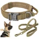 thumbnail image 1 of Collar De Perro Ajustable Y Correa Retráctil Para Perros Gra, 1 of 5